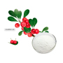 Cosmetic Grade Alpha-Arbutin Powder Alpha Arbutin